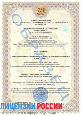 Образец разрешение Химки Сертификат ISO 50001